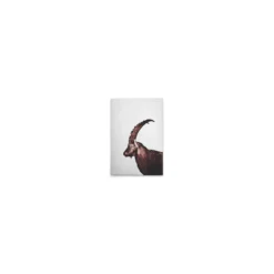 Leinwand Capricorn Snow 30 x 45 cm
