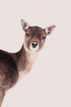 Leinwand Deer Rose 30 x 45 cm