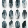 Leinwand Feathers Blue 40 x 50 cm