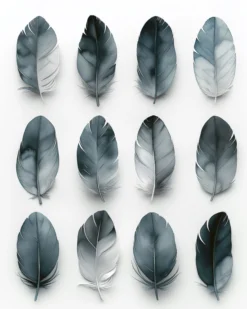 Leinwand Feathers Blue 40 x 50 cm
