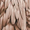 Leinwand Feathers I 30 x 45 cm