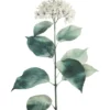 Leinwand Hortensie Blanc 40 x 50 cm
