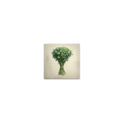 Leinwand Koriander 30 x 30 cm