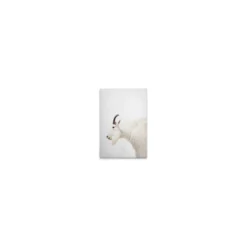 Leinwand Mountain Goat 30 x 45 cm
