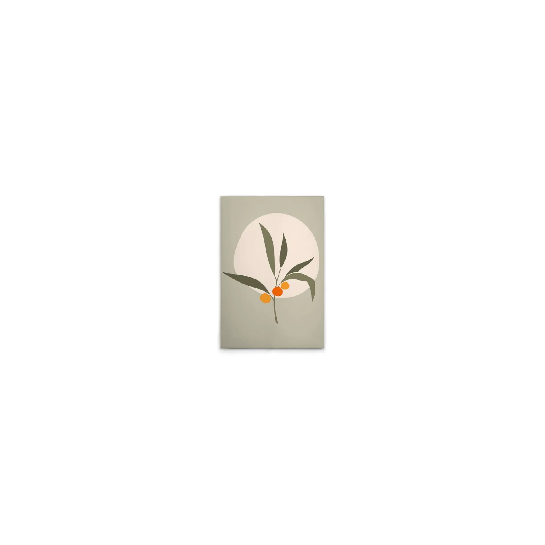 Leinwand Olive III 30 x 45 cm