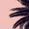 Leinwand Palm Tree 45 x 30 cm