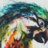 Leinwand Parrot 45 x 30 cm