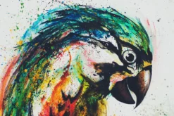 Leinwand Parrot 45 x 30 cm