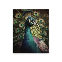 Leinwand Peacock Portrait 40 x 50 cm
