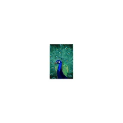 Leinwand Peacock 30 x 45 cm