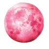 Leinwand Pink Moon 30 x 45 cm