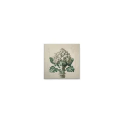 Leinwand Romanesco Weiss 30 x 30 cm