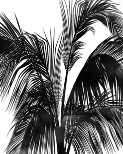 Leinwand Sunset Boulevard 40 x 50 cm
