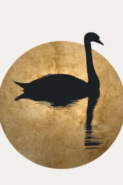 Leinwand The Swan II 30 x 45 cm