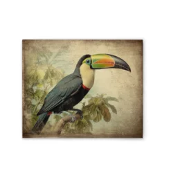 Leinwand Toucan Vintage 40 x 50 cm
