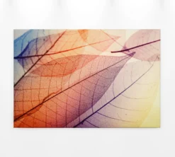 Livingwalls Leinwand, Blatt, Blattadern, 90x60 cm DD120272