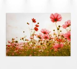 Livingwalls Leinwand, Kosmeen, Himmel, 90x60 cm DD120288