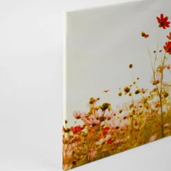 Livingwalls Leinwand, Kosmeen, Feldlandschaft, 90x60 cm DD120289