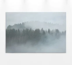 Livingwalls Leinwand, Nebelverhangener Wald, Bäume, 90x60 cm DD120292