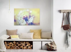 Livingwalls Leinwand, Pusteblume, 90x60 cm DD120287