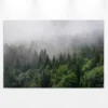 Livingwalls Leinwand, Wald, Nebel, 90x60 cm DD120291