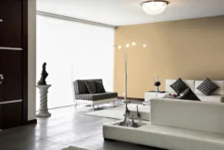PURO Wandfarbe Beige