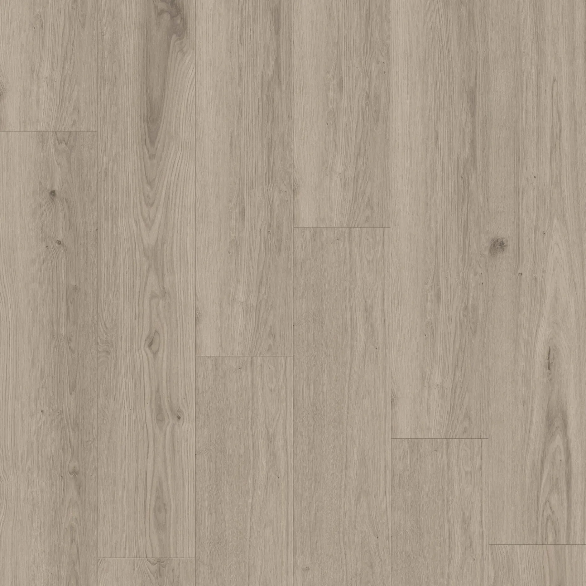 Tarkett iD Click Ultimate 30 Vinylplanke AUTHENTICS - Delicate Oak - Clay grau 260026012