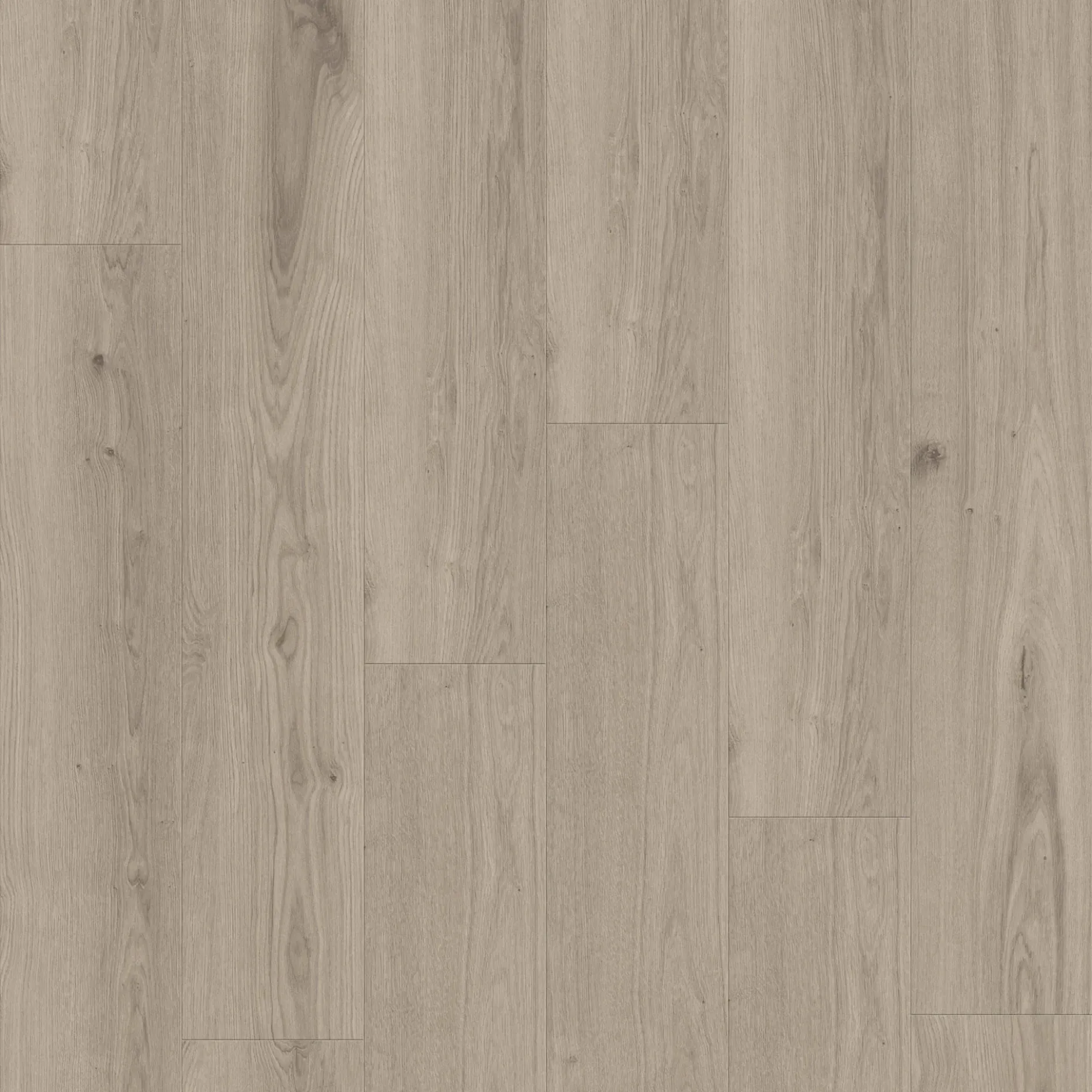 Tarkett iD Click Ultimate 70 Vinylplanke AUTHENTICS - Delicate Oak - Clay grau 260012012