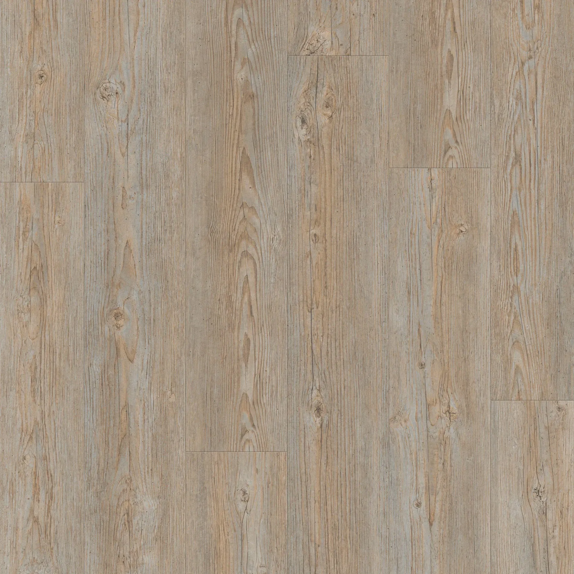 Tarkett ID Inspiration 55 CLASSICS Vinylplanke Brushed Pine - Grey - grau 24513005