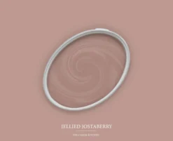 The Color Kitchen Wandfarbe Braun "Jellied Jostaberry" TCK7002 2,5 l