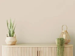 The Color Kitchen Wandfarbe Beige 