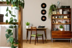 The Color Kitchen Wandfarbe Beige 