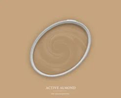 The Color Kitchen Wandfarbe Braun "Active Almond" TCK6004 2,5 l