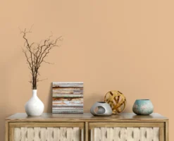 The Color Kitchen Wandfarbe Beige 
