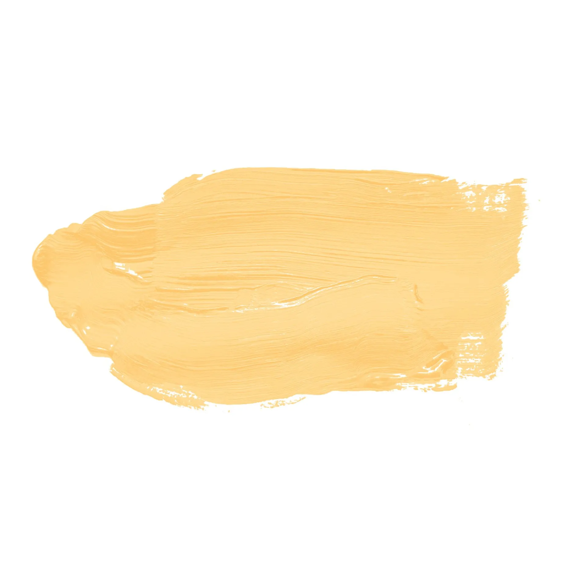 The Color Kitchen Wandfarbe Gelb "Playful Pineapple" TCK5005 2,5 l