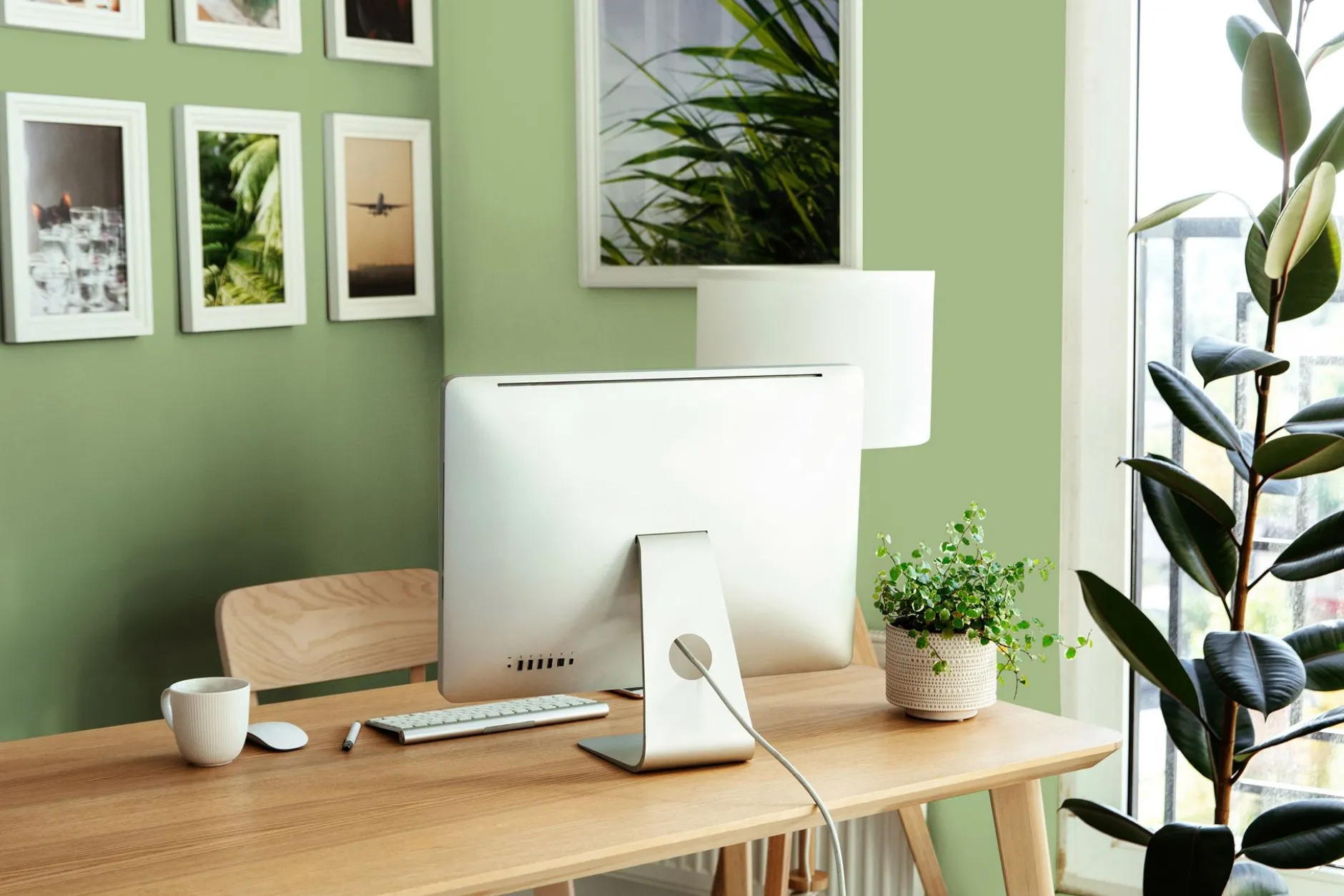 The Color Kitchen Wandfarbe Grün "Green Grape" TCK4008 2,5 l