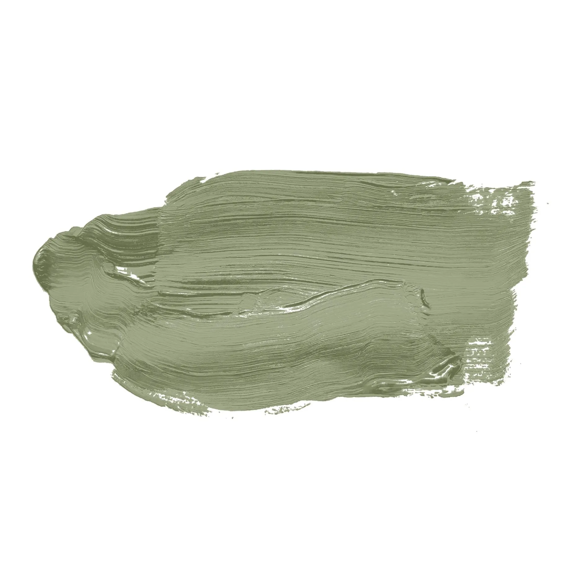 The Color Kitchen Wandfarbe Grün "Balmy Basil" TCK4002 2,5 l