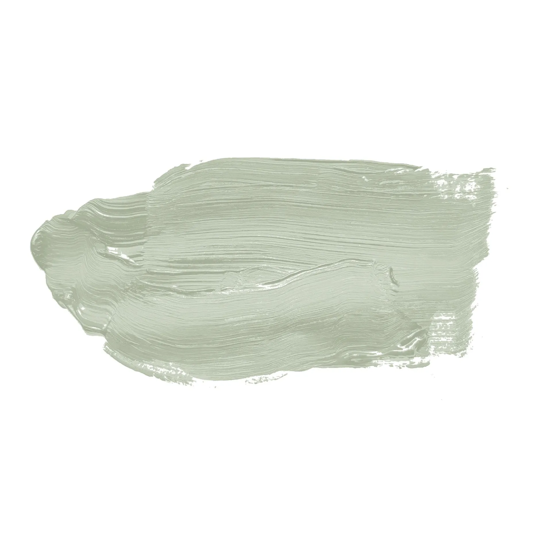 The Color Kitchen Wandfarbe Grün "Lovely Lime" TCK4003 2,5 l