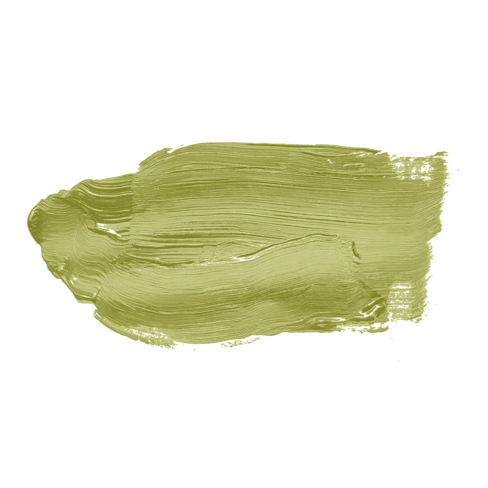 The Color Kitchen Wandfarbe Grün "Kitchy Kiwi" TCK4009 2,5 l