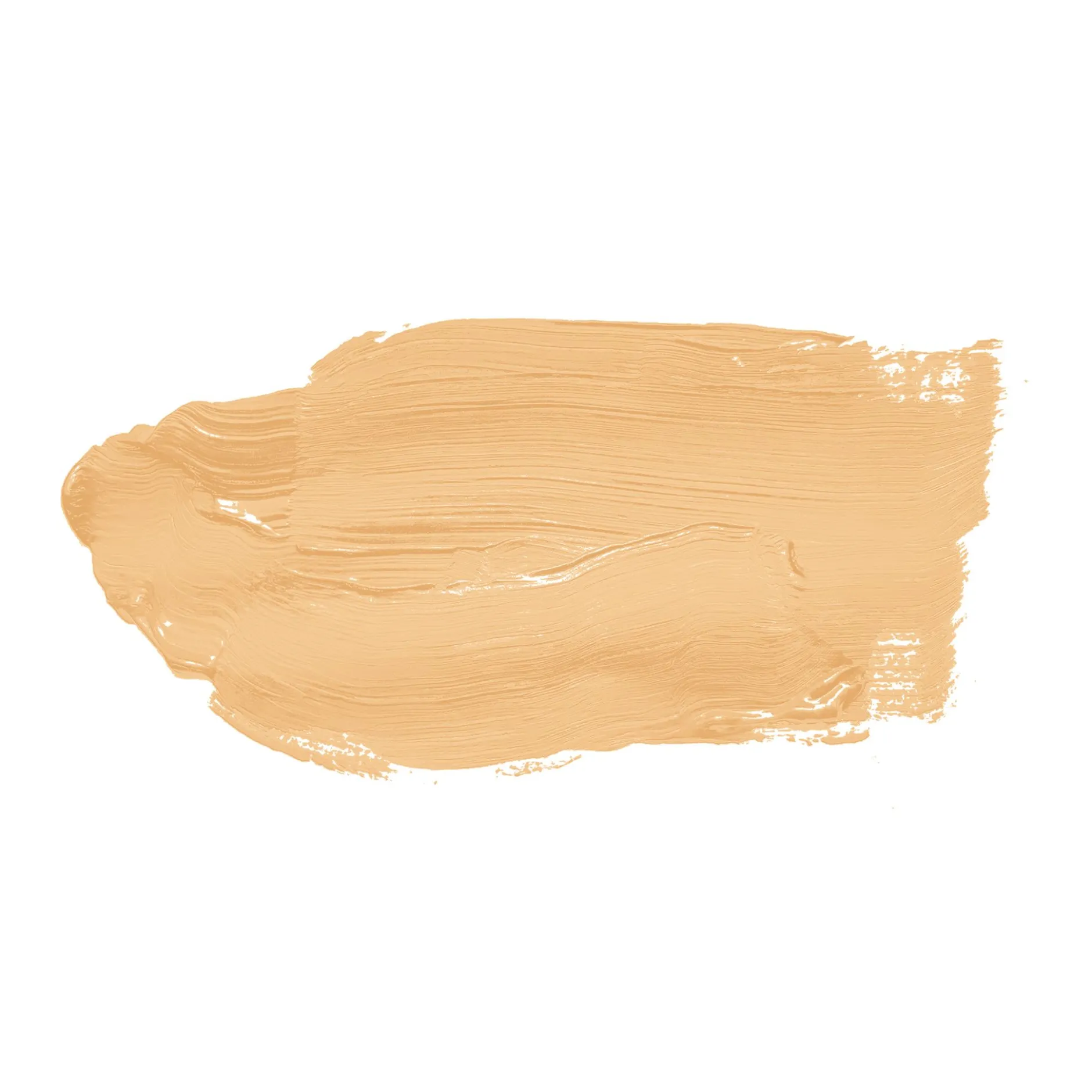 The Color Kitchen Wandfarbe Orange "Happy Honey" TCK5006 2,5 l