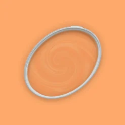 The Color Kitchen Wandfarbe Orange "Pure Papaya" TCK5010 2,5 l