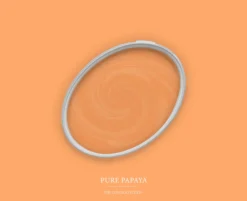 The Color Kitchen Wandfarbe Orange "Pure Papaya" TCK5010 2,5 l