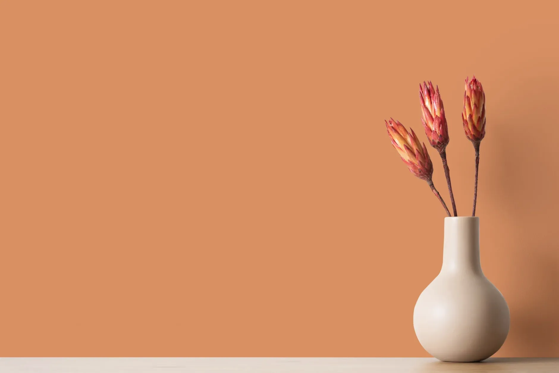 The Color Kitchen Wandfarbe Orange "Pretty Pumpkin" TCK5011 2,5 l