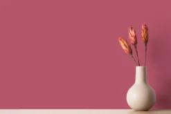 The Color Kitchen Wandfarbe Pink