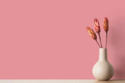 The Color Kitchen Wandfarbe Pink 