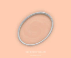 The Color Kitchen Wandfarbe Rosa "Honeydew Melon" TCK6022 2,5 l