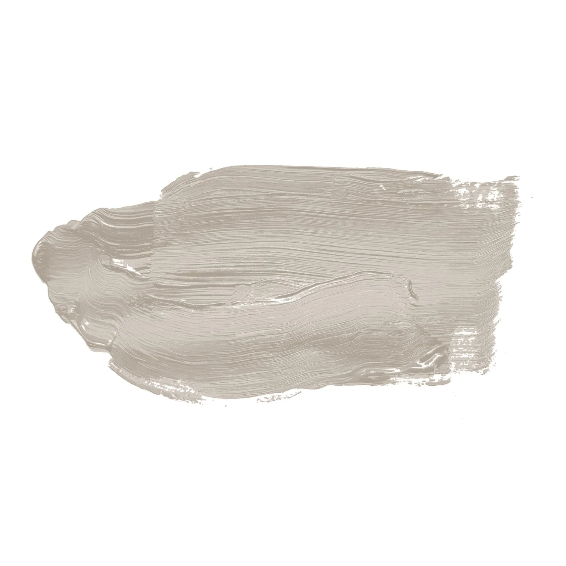 The Color Kitchen Wandfarbe Taupe "Oyster Mushroom" TCK1017 2,5 l