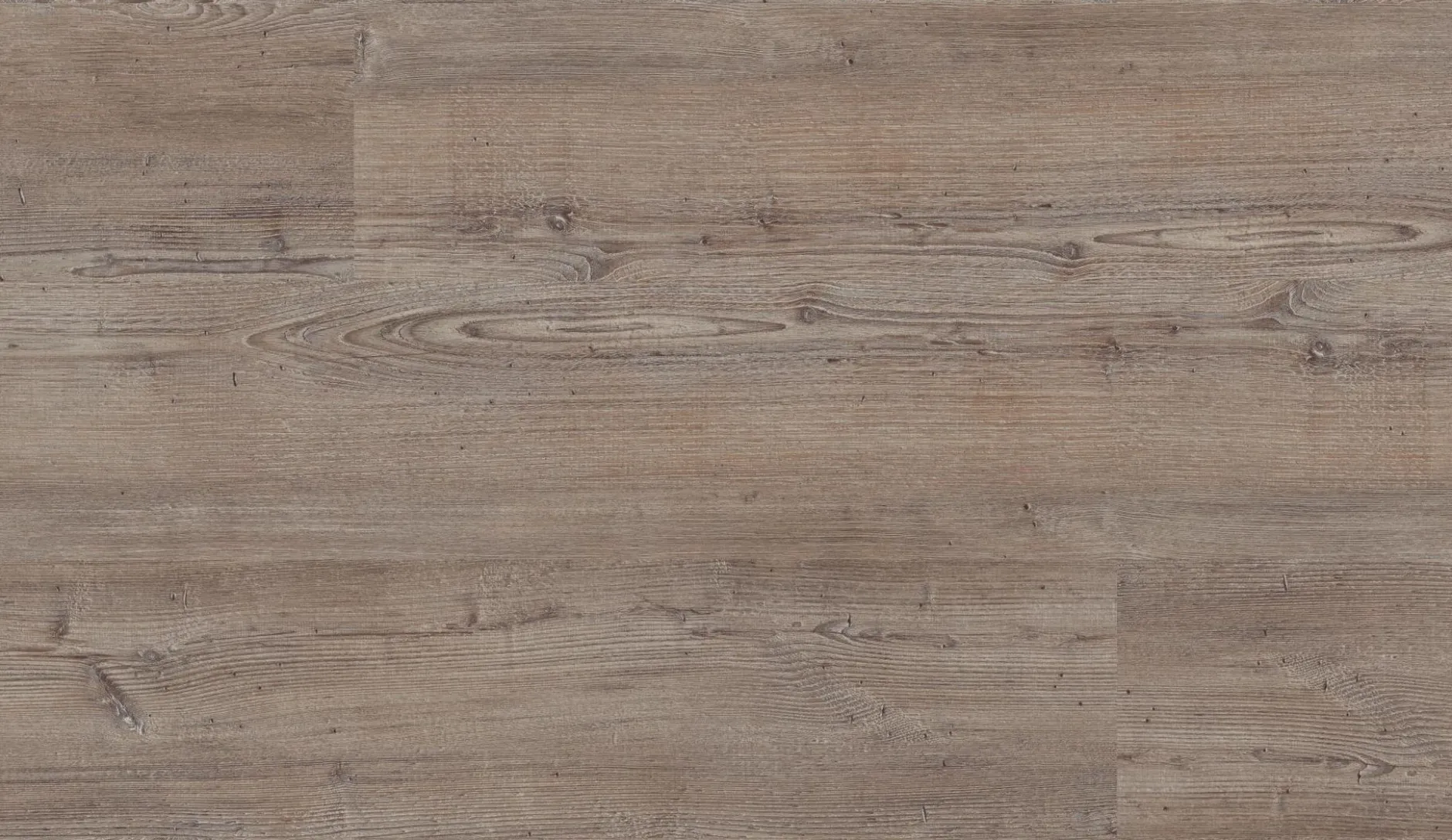 Vinylboden Repac CAM 20-03 Bedgebury Oak MF71938