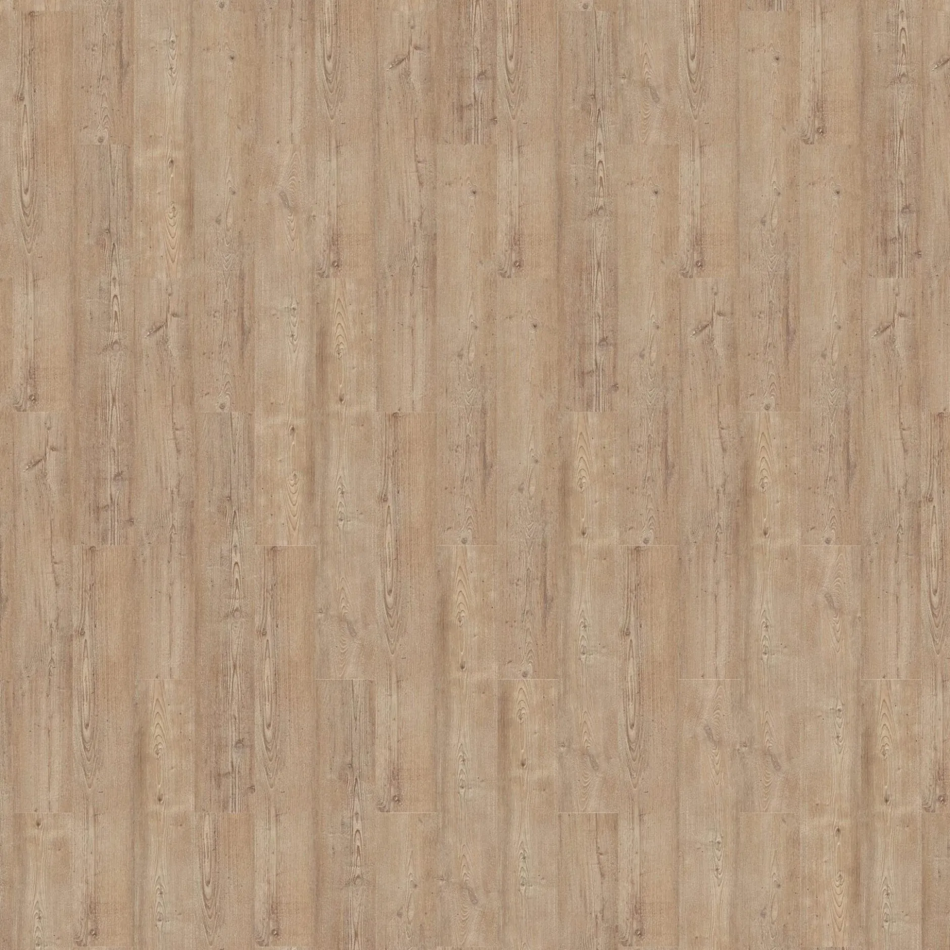 Vinylboden Repac CLASSIC 25-05 Smoky Pine MF47601